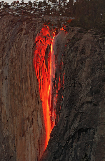 Horsetail 1