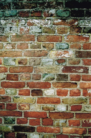 bricks Veere